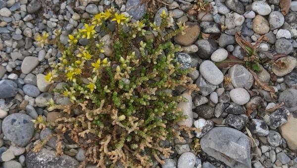 Gedanken zum 12. Juni